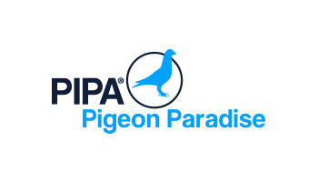 PIPA