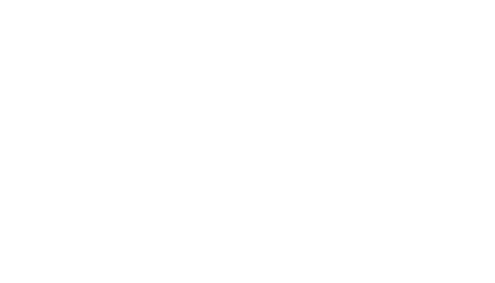 Vreg