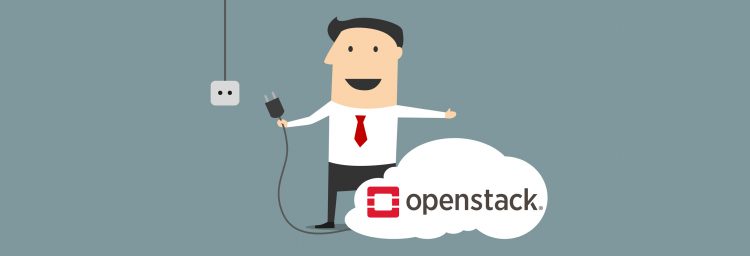 Build your own OpenStack cloud