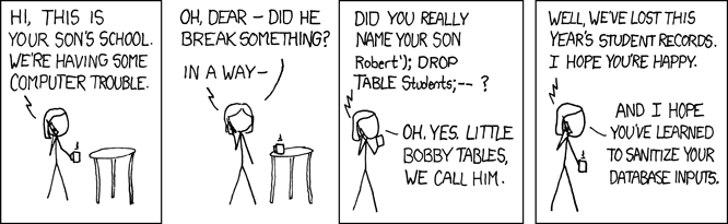 SQL injection cartoon