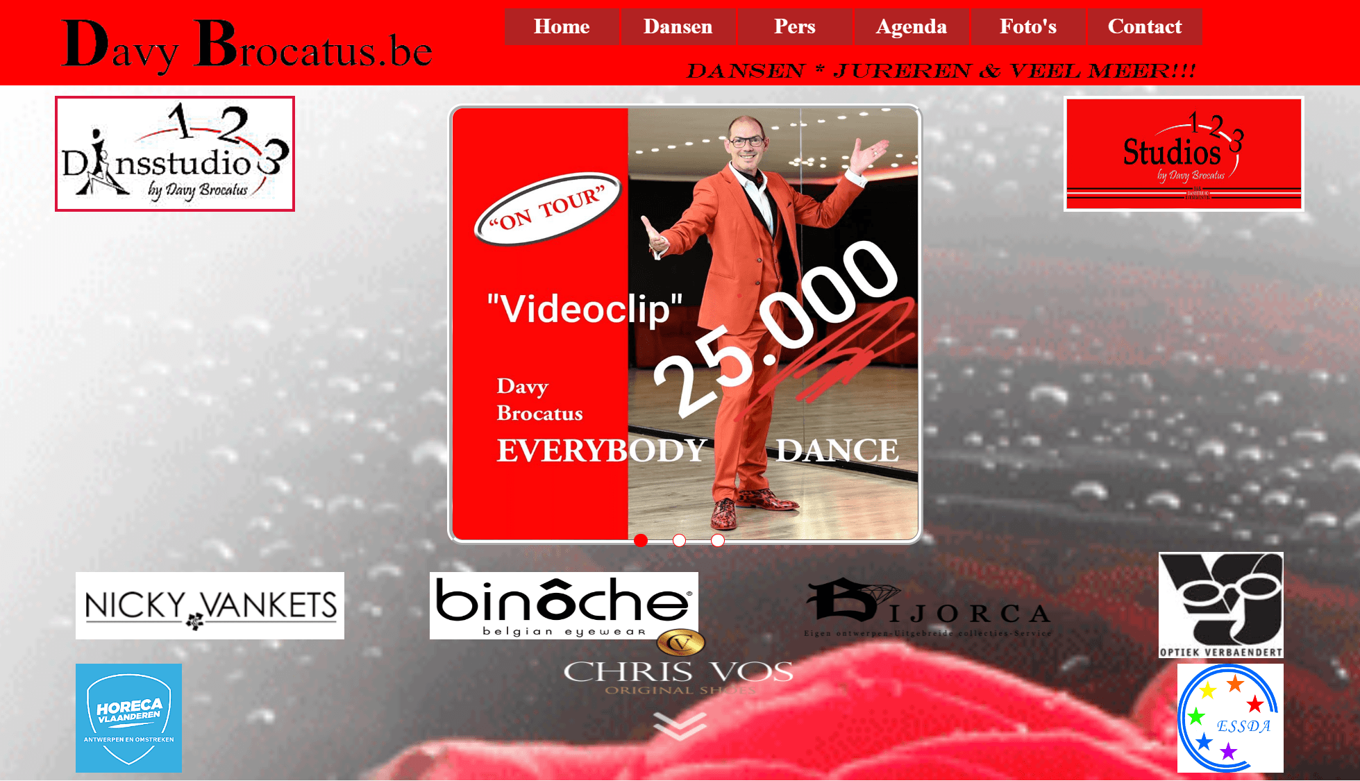 Davy Brocatus website