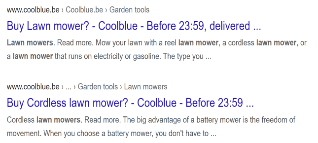 Organic SEO results in Google