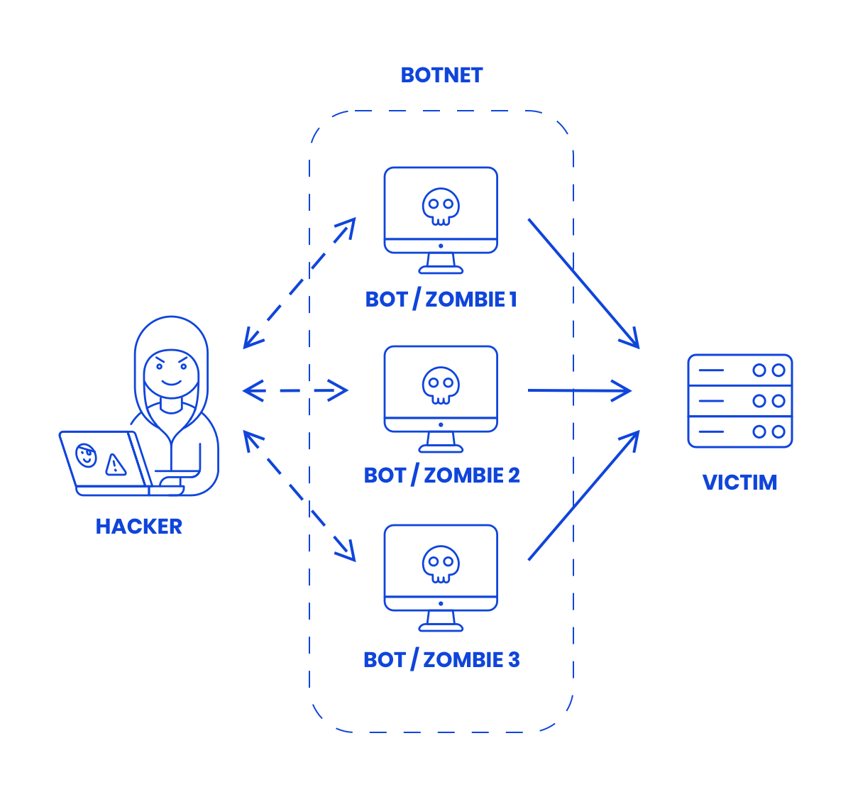 What is a ddos botnet What is a ddos botnet