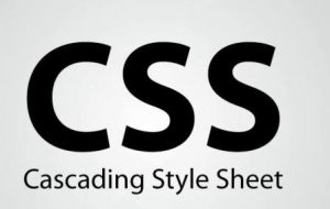 CSS inline