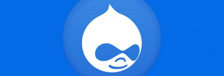 Drupal bug