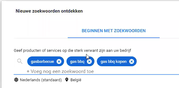 Zoekwoordenonderzoek - Google Keyword Tool