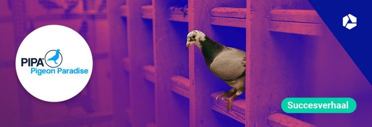 PIPA veilt topduiven voor miljoenen, ijzersterk gehost door Combell