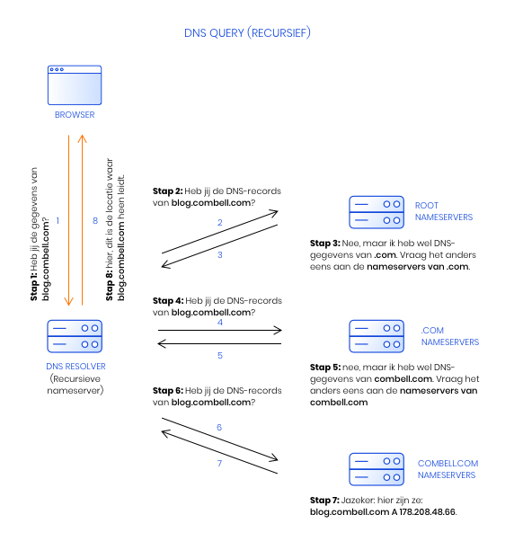 dns query